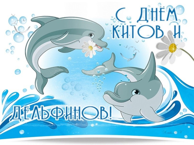 День китов и дельфинов День китов и дельфинов.
